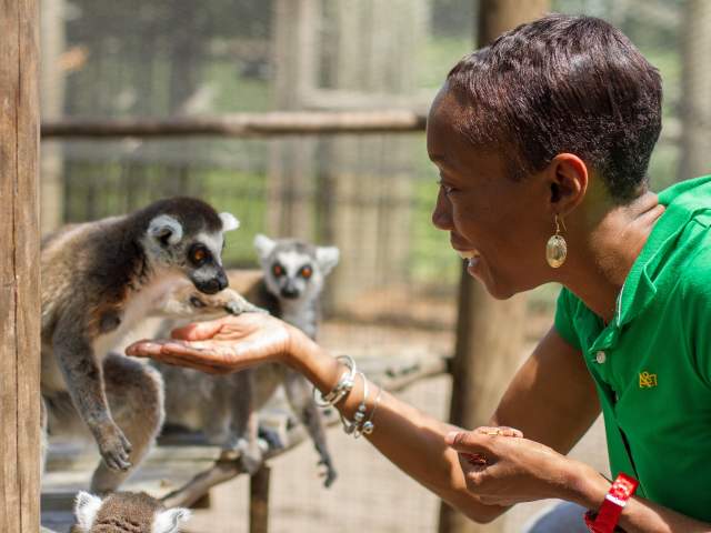 Giraffe Ranch lady feeding a lemur