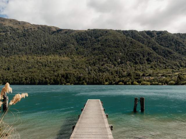 Jetty leading to a cove surrounded by native bush