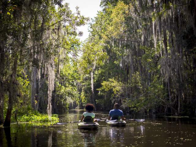 The Ritz-Carlton Orlando, Grande Lakes eco-tour by kayak