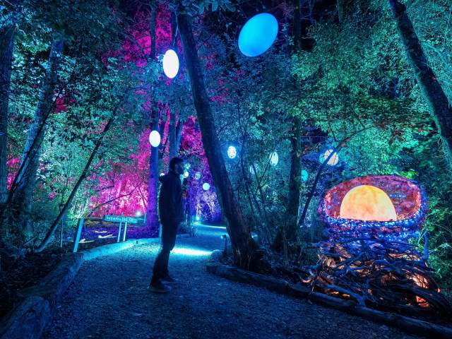 Luma Enchanted