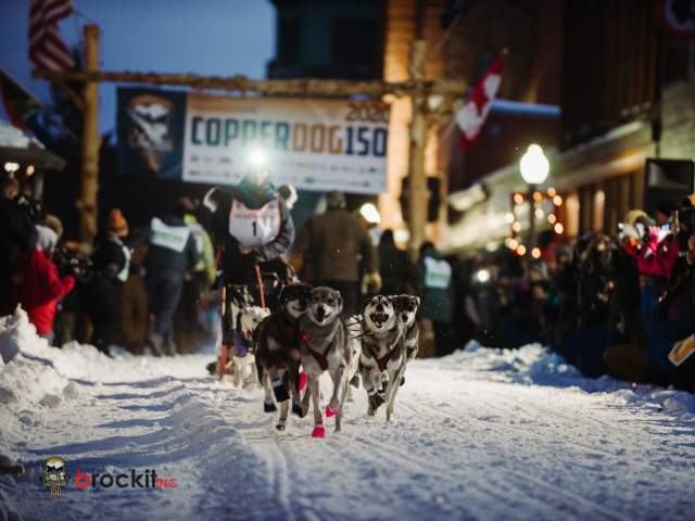 CopperDog150