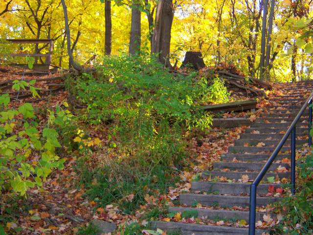 Red Oak Nature Trail Stairs
