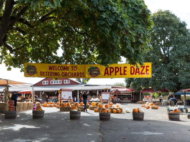 Farm stand with pumpkins surrounded by trees with a large banner in front that says "Welcome to Detering Orchards Apple Daze"