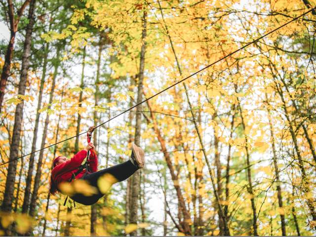 A person in a red sweater ziplines through a forest of bright yellow autumn trees.