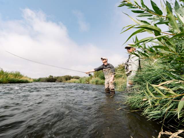 Fly Fishing on Provo River