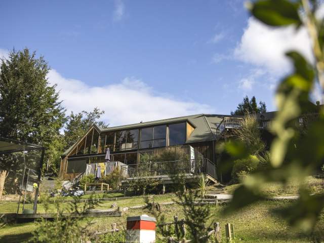 Kiwi Park Grounds with native trees