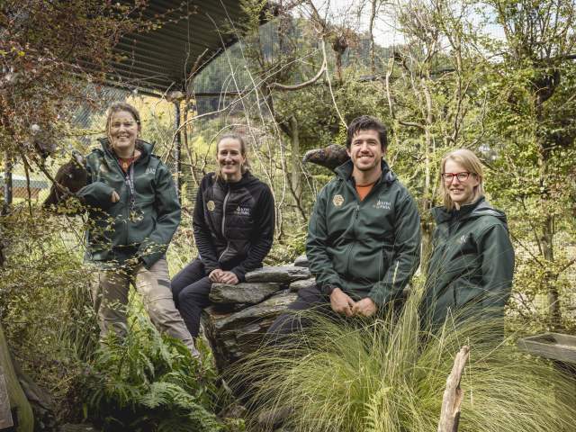 Four Kiwi Park team members smiling at the camera with birds on their shoulders