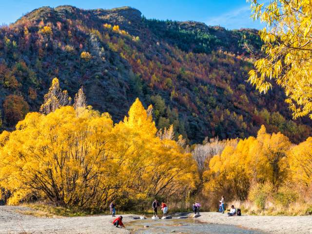 Gold panning in the Arrow River in Autumn