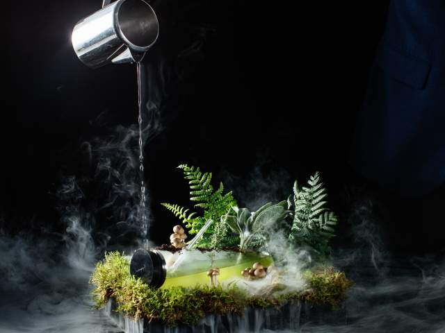 Salt & the Cellar By Akira Back