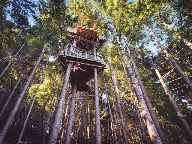 Queenstown Cares initiative about ziplining activity Ziptrek Ecotours on Bob's Peak