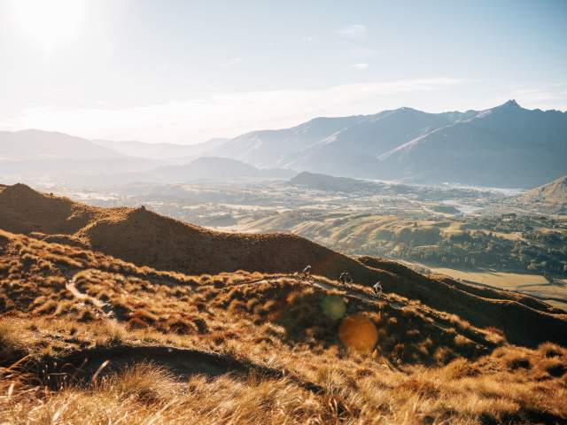 Far shot of three bikers descending a golden tussock-covered mountain with valley and mountain in the background