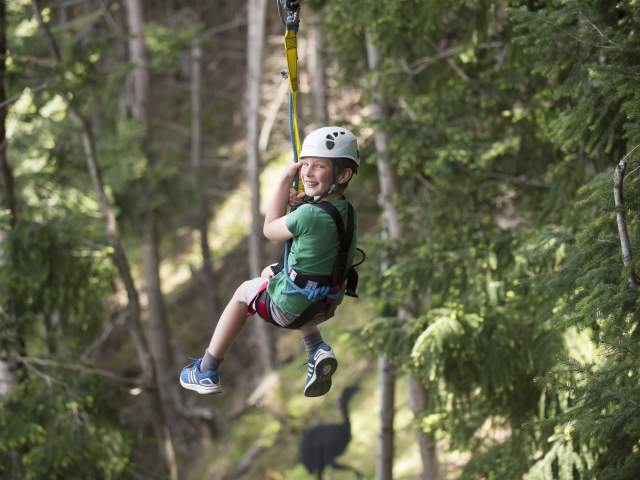 Young boy on ZipTrek Eco Tours Moa tour