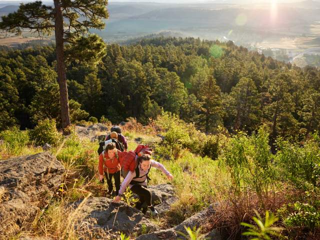 Hospitality Hero FY26