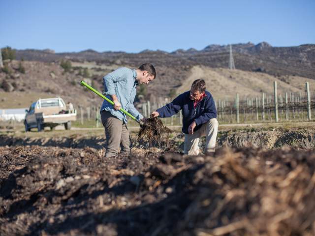 Peregrine compost, Bendigo