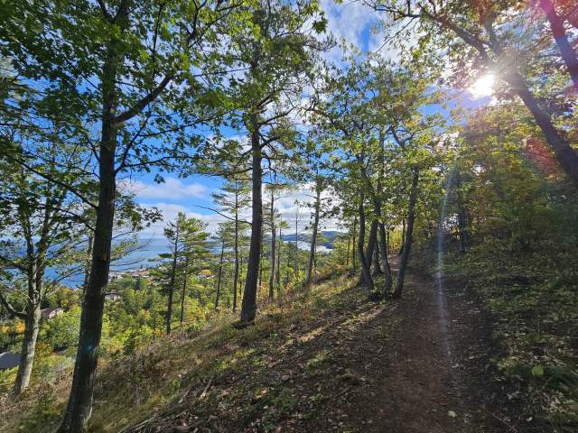 a trail winds through a cliffside forest with lakeside overlook