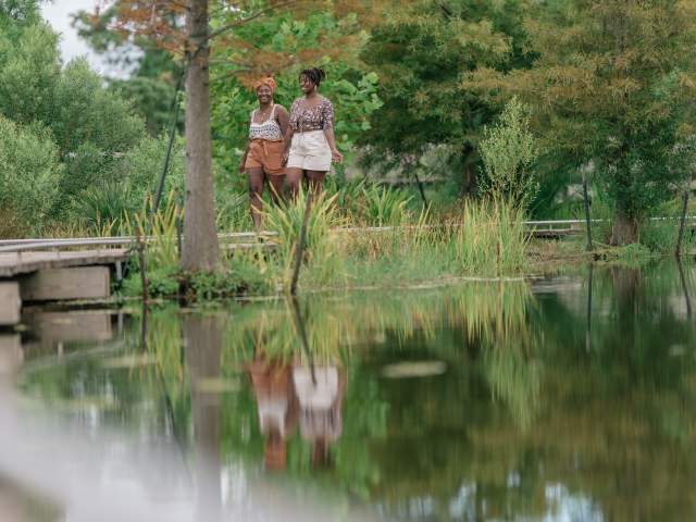 Exploring the Besthoff Sculpture Garden