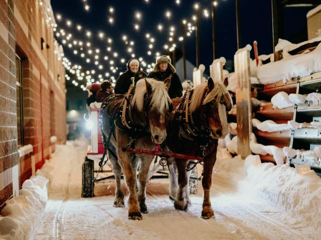 Horses pull a carriage through downtown Houghton.