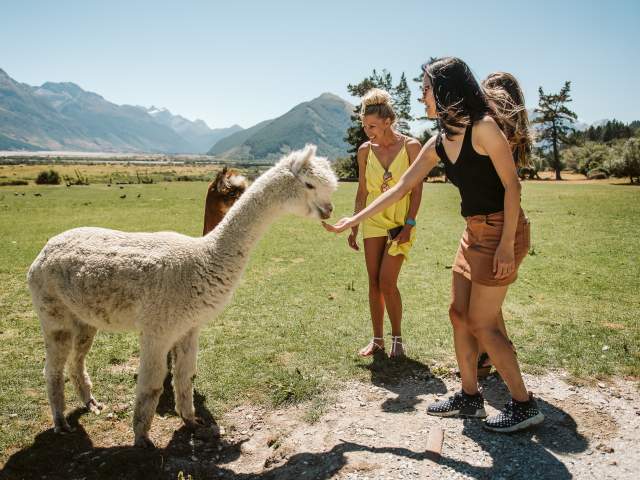 Visiting the Glenorchy Animal Experience with Queenstown Expeditions