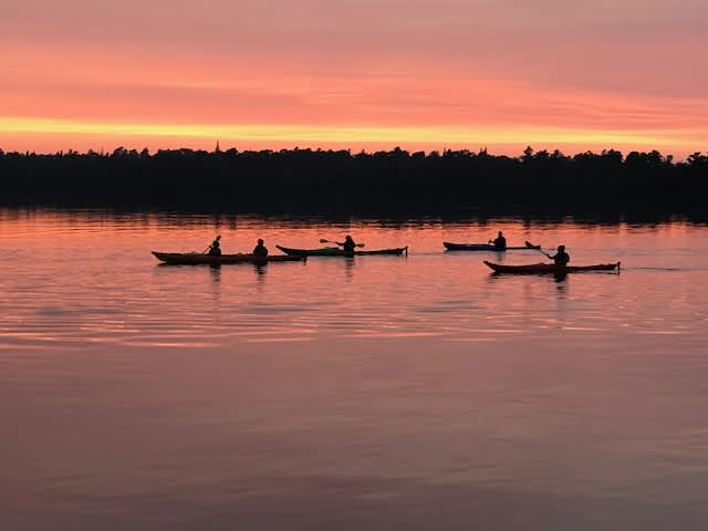 Four kayakers on a sunset paddle