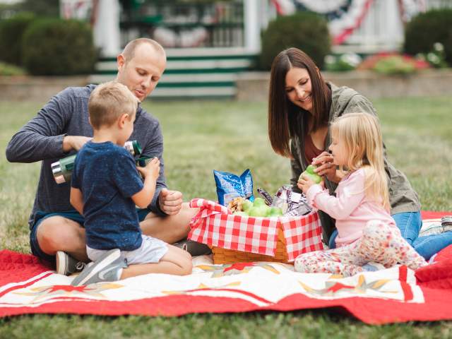 Picnic in the Park