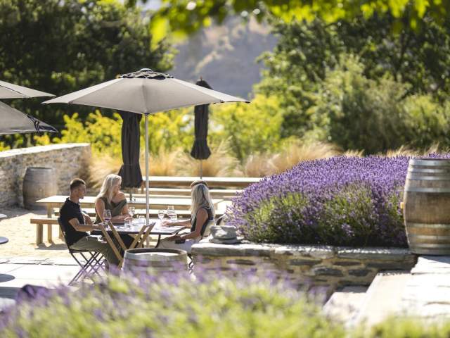 Group of people dining outside in Amsifield Restaurant's courtyard surrounded with purple lavender plants