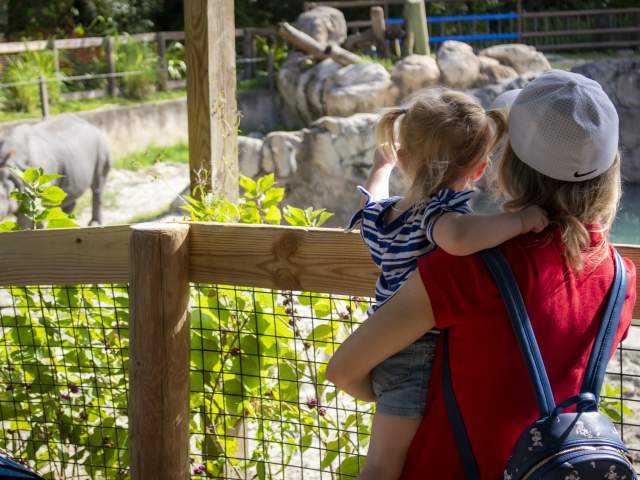 Central Florida Zoo & Botanical Gardens guests looking at rhino