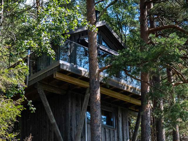 Tretopphytte blant trærne, Vestre Kjærnes Gård