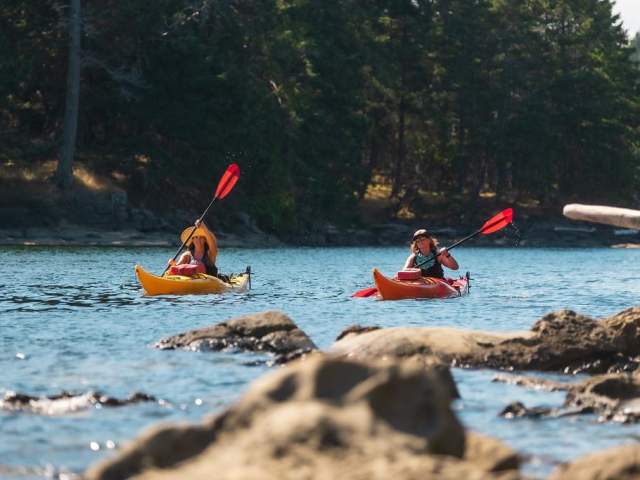 Two people kayaking near shore.