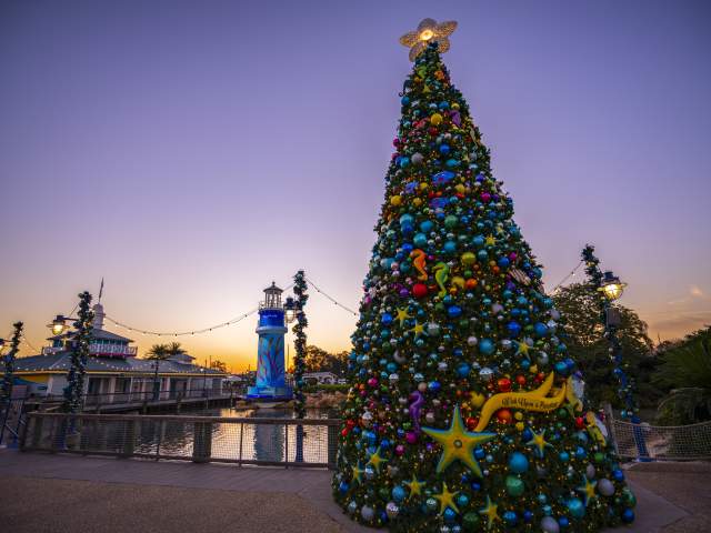 SeaWorld® Orlando Christmas celebration