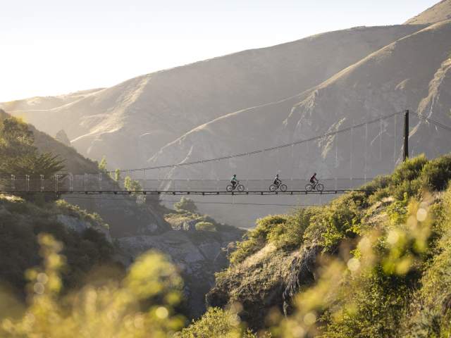 Three people biking on Edgar Bridge, Gibbston Valley Trail