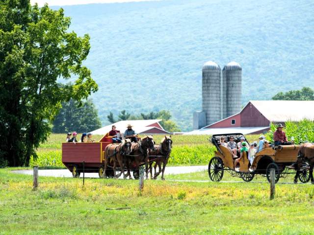 Water Wheel Carriages