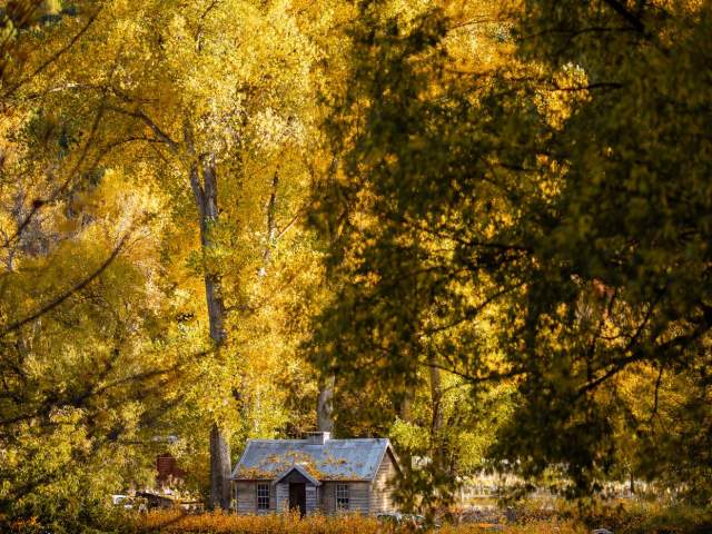 A stunning photo of the Arrowtown Police Hut in autumn