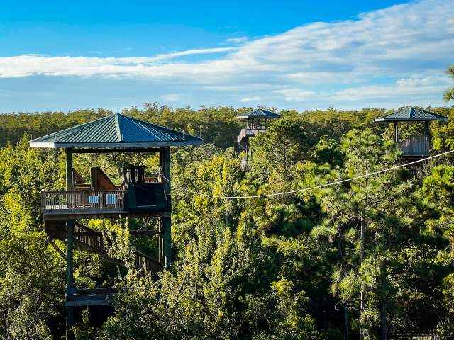 Gatorland zipline adventure