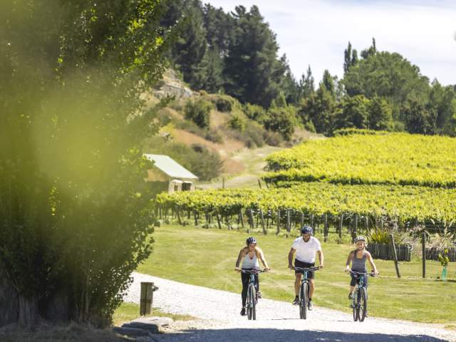 Friends Biking Gibbston Wineries in summer