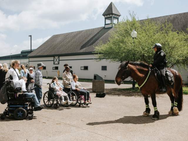 Accessible Horse Guide Tours