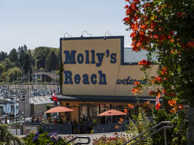 Molly's Reach