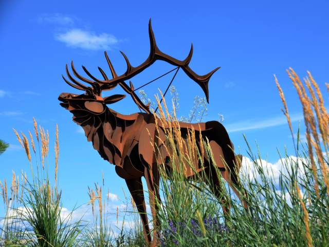 Indigenous Sculpture Elk
