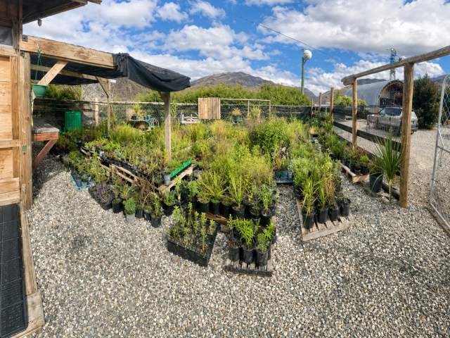 AJ Hackett Bungy NZ Nevis Nursery