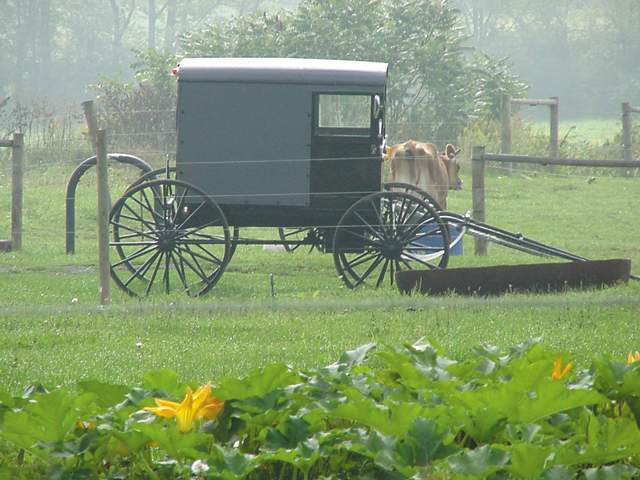 Loganton