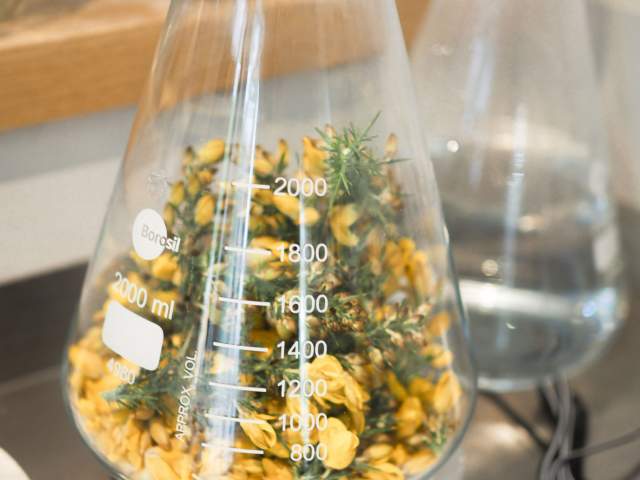 Canyon Brewing utilising naturally fermenting yeast