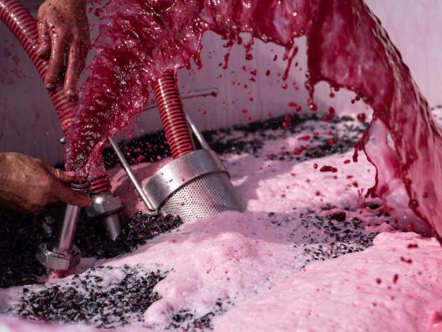Close-up of vibrant red grape juice being poured and filtered during the winemaking process, surrounded by frothy bubbles and crushed grape skins.