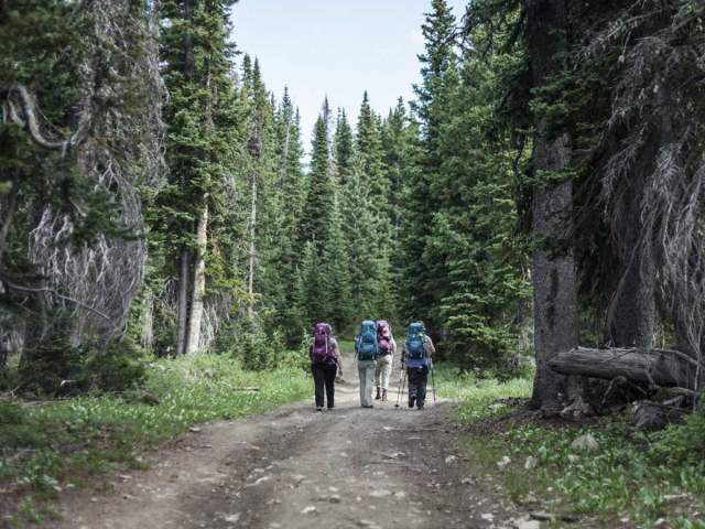 Hikers in a line along the Continental Divide Trail surrounded by scenic mountain views.