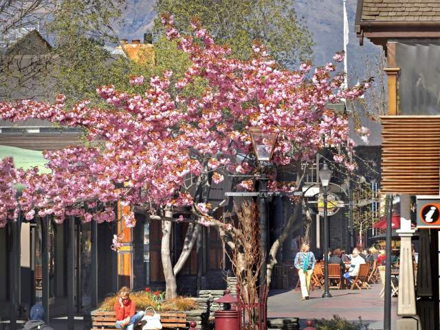 Queenstown Mall in spring with cherry blossoms and snow covered mountain in the background