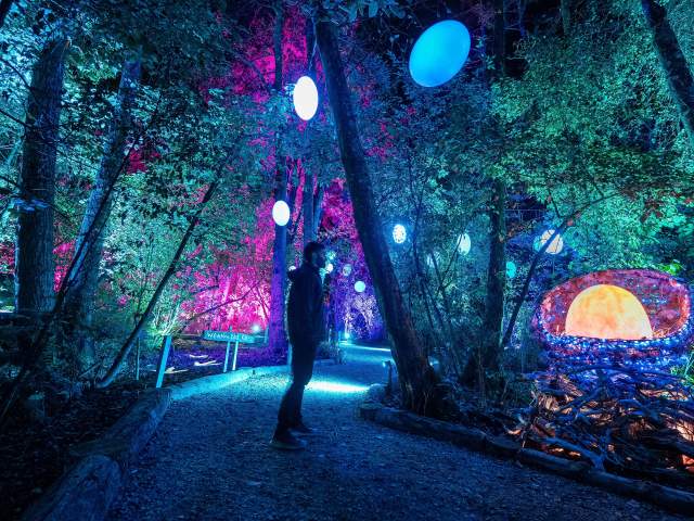 Luma Enchanted