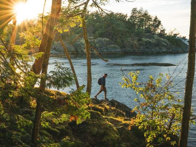Sunlight gleams through the trees as a man walks along the rocky shore.