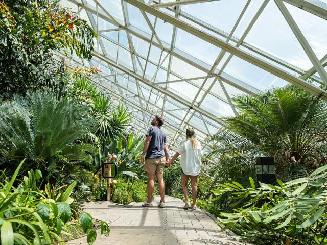 Couple exploring the gardens at the Botanical Conservatory