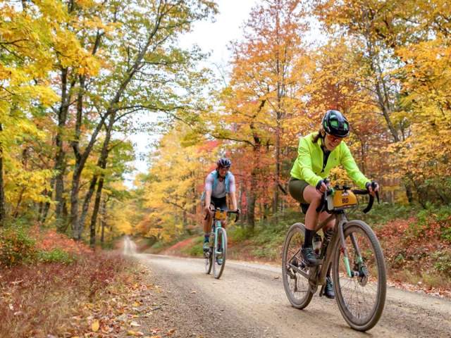 unPAved bike racers riding through forest.