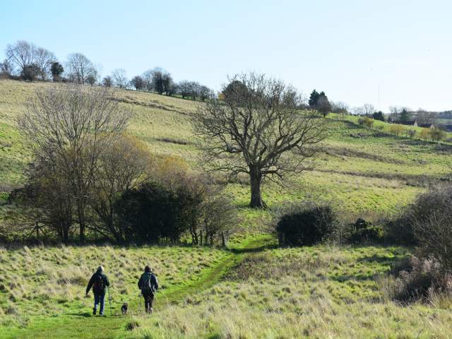 Two people and their dog walk along the Viking Way towards Tealby in the Lincolnshire Wolds.