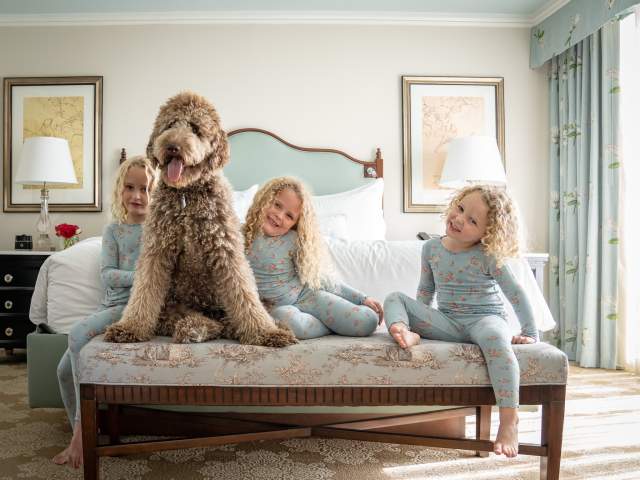 Pampered Pets Program - Windsor Court