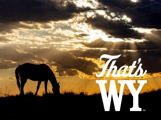 Wild Horses of Pilot Butte at Sunset